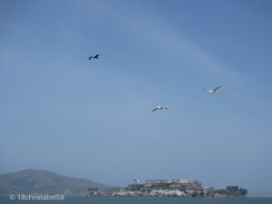 Alcatraz