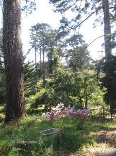 Golden Gate Park 2