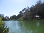 Golden Gate Park