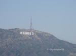 Hollywood Signs