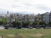 Painted Ladies