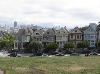 Painted Ladies
