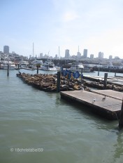 Pier 39