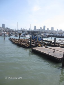 Pier 39