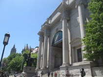 American Museum of Natural History