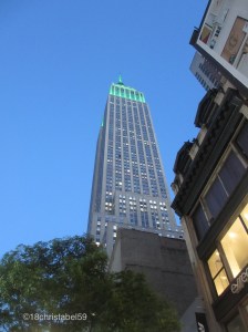 ESB 4 N8