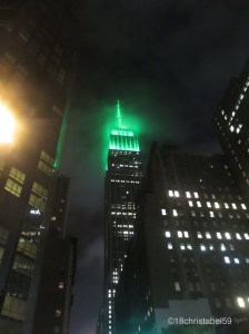 ESB N8 green