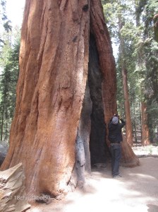 Giants 2