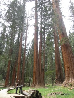 Giants 4