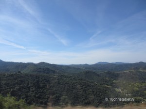 Auf dem Weg in Richtung Kings Canyon 