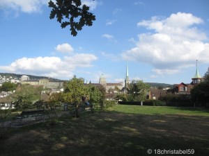 Gegenüber vom Lindenhof