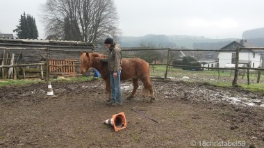 Ich führe Lucky an der Mähne