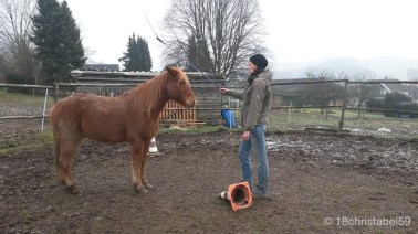 Friendly Game: Fliegen vertreiben