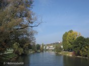 Weinberge über der Limmat (unterhalb der Kirche)