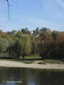 Idylle an der Limmat