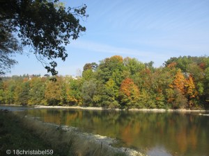 Limmat mit Herbstfarben