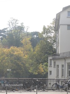 Blick auf den Botanischen Garten
