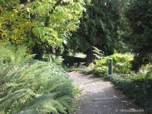 Botanischer Garten 2