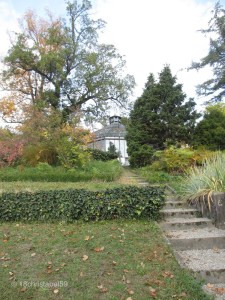 Botanischer Garten 4