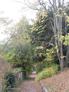 Botanischer Garten 3