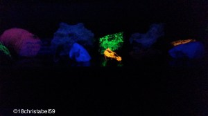 leuchtende Mineralien im Schwarzwaldmuseum Triberg