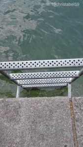 Einstieg in die Limmat