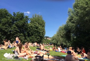 Sardinenliegen auf der Werdinsel